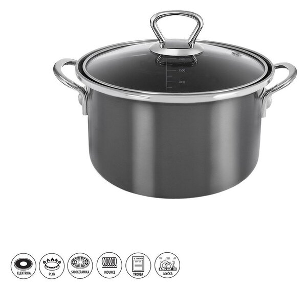 Емайлирано гърне с капак 3,25 l Metalic – Orion