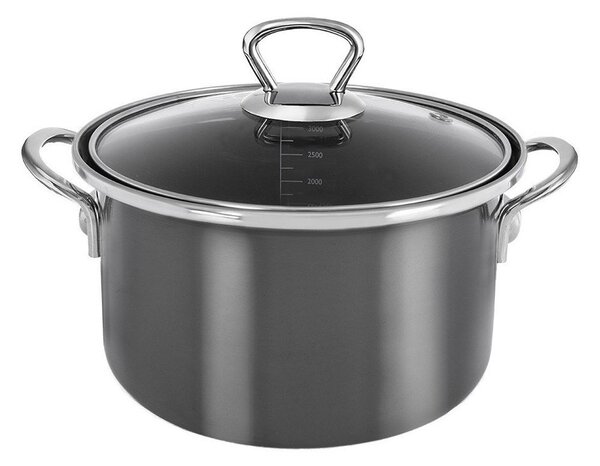 Емайлирано гърне с капак 3,25 l Metalic – Orion