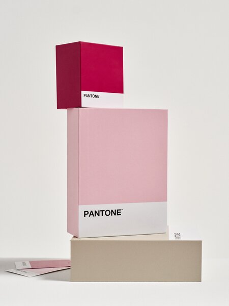 Sinsay - Кутия за съхранение Pantone - розов
