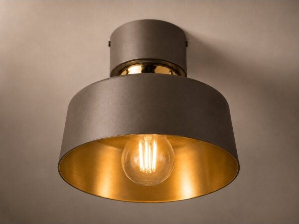Tavanно осветително тяло IGNIA 1xE27/60W/230V кафяво/златно