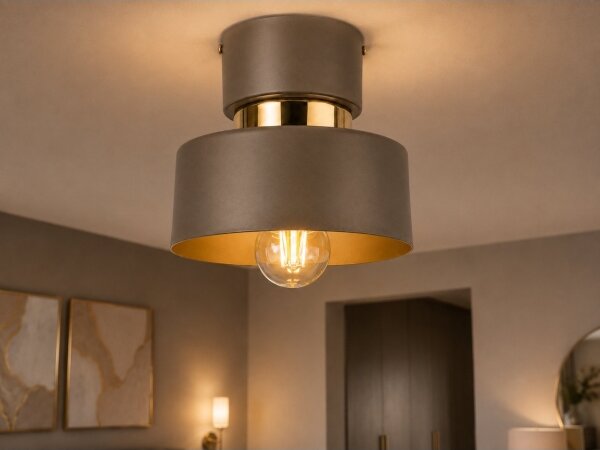 Tavanно осветително тяло IGNIA 1xE27/60W/230V кафяво/златно