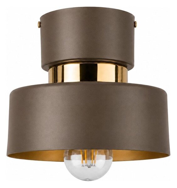 Tavanно осветително тяло IGNIA 1xE27/60W/230V кафяво/златно
