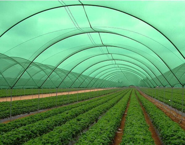 Засенчваща мрежа 99% - 150 g/m²,тъмнозелена, различна ширина