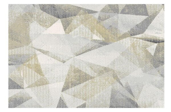 Килим Ankarа A0269A - Dbeige silver, 160 x 230 cm