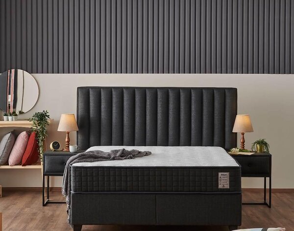 Тапицирано легло Regal - 160 х 200 cm