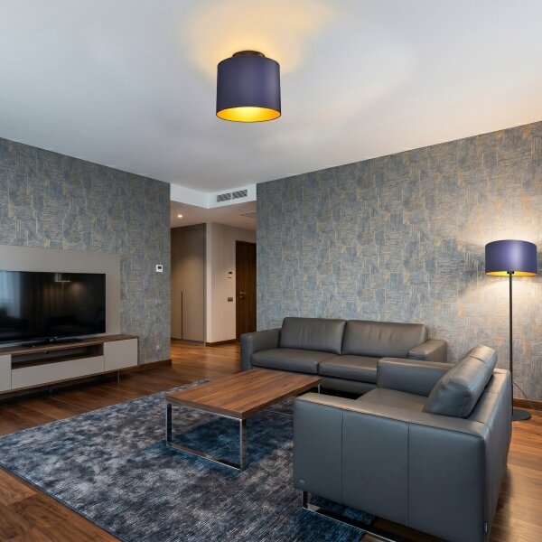 Таванно осветително тяло ARDEN 1xE27/15W/230V Ø 18 см, син