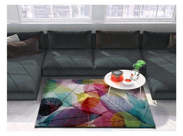 Koberec Universal Colors Multi, 120 x 170 cm