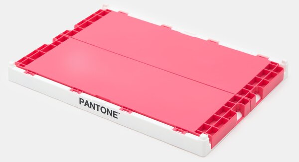 Sinsay - Сгъваема кутия за съхранение Pantone - фуксия
