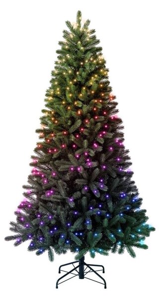 Twinkly TG70P4425P01 - LED RGBW коледна елха TREE, 435 светодиода, 2,1 m, Wi-Fi