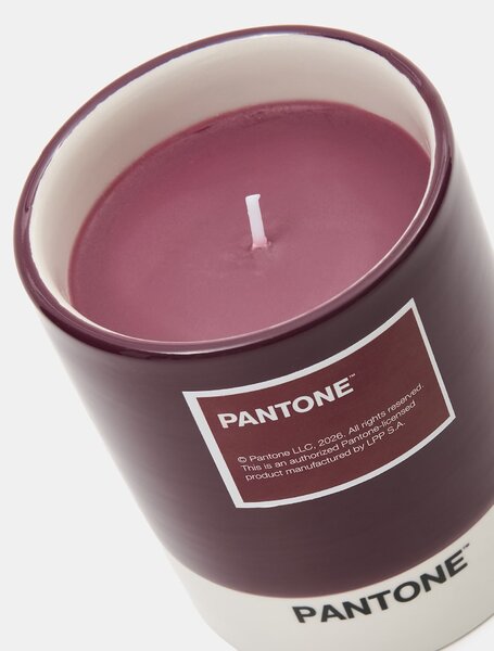 Sinsay - Свещ Pantone - бледомораво
