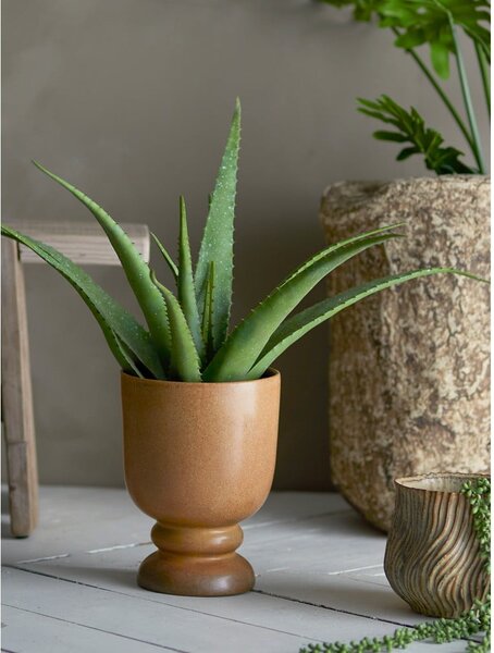 Изкуствено растение (височина 61 cm) Aloe – Bloomingville