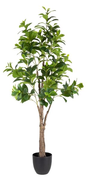 Декоративно Растение Зелен PVC 145 cm Peperomia