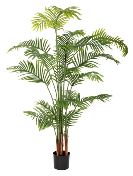 Декоративно Растение Полиуретан Цимент Areca 150 cm