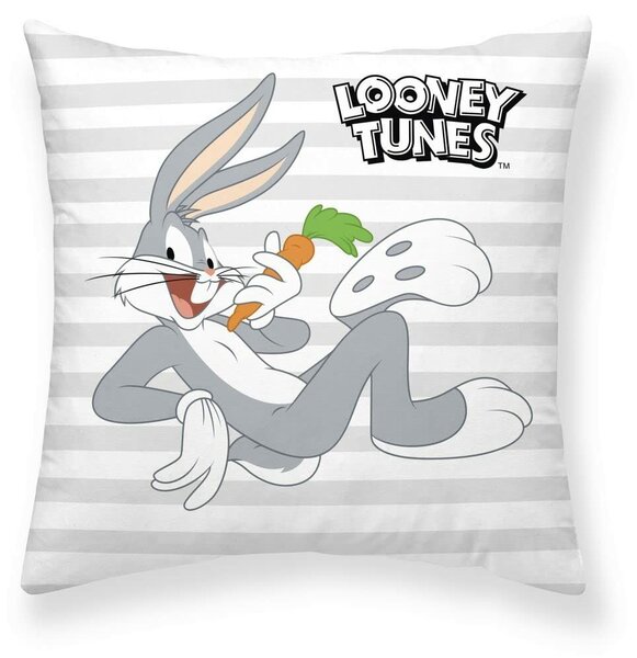 Калъфка за възглавница Looney Tunes Looney Characters A 45 x 45 cm