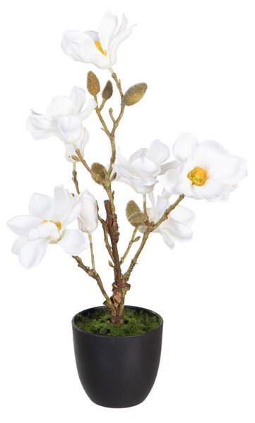 Декоративно Растение полиестер полиетилен Желязо 25 x 25 x 49 cm Magnolia