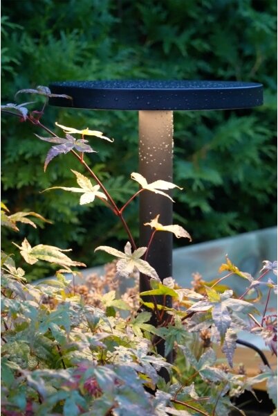 Markslöjd 108173 - LED външна лампа GARDEN24 LED/5W/24V 96 cm IP44 черна