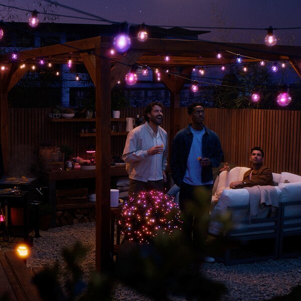 Philips Hue LED верига от светлини Festavia Globe 14 м 20 бр. IP65, Затъмняване, Черен, Метал, Модерен