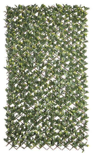 Решетка Natural Laurel плетена ракита Бамбук 2 x 200 x 100 cm