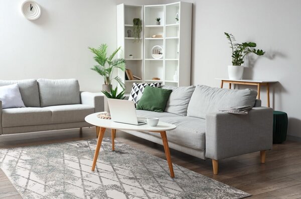 Сив килим 200x280 cm Sensi Gepi – FD