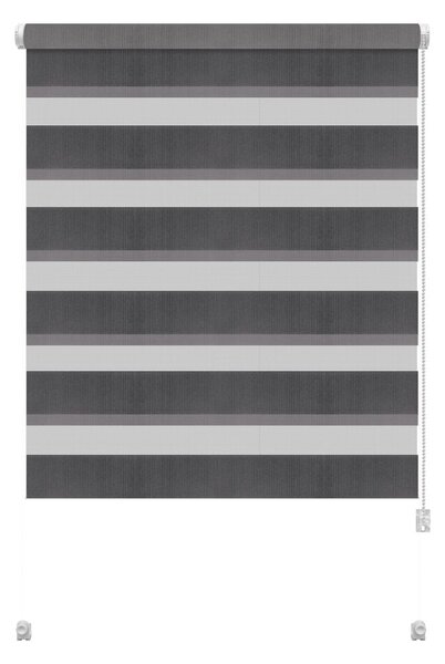 Тъмносива ролетна щора ден и нощ 42,5x150 cm Zebra – Gardinia