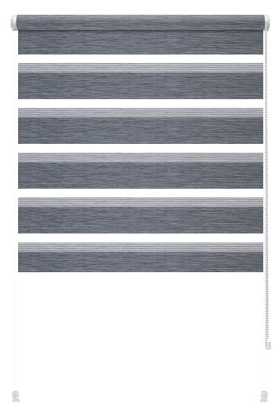 Антрацитна ролетна щора ден и нощ 57x150 cm Zebra Silvalin – Gardinia