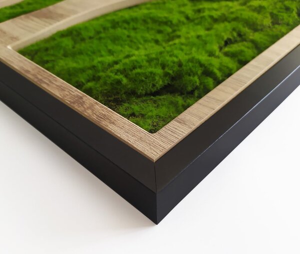 Декорация за стена 50x100 cm Tree – Styler