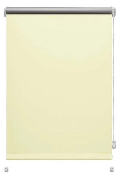 Ролетна щора в естествен цвят 42,5x150 cm Mini Termo – Gardinia