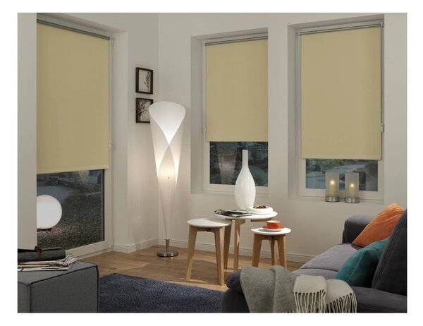 Ролетна щора в естествен цвят 42,5x150 cm Mini Termo – Gardinia
