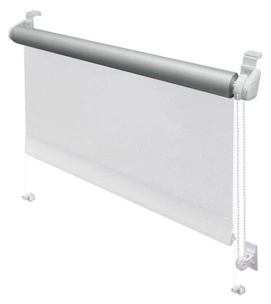 Бяла ролетна щора 42,5x150 cm Mini Termo – Gardinia