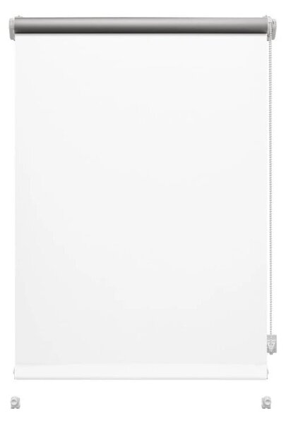 Бяла ролетна щора 42,5x150 cm Mini Termo – Gardinia