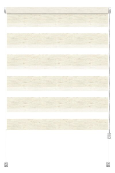 Ролетна щора ден и нощ в естествен цвят 57x150 cm Zebra Silvalin – Gardinia