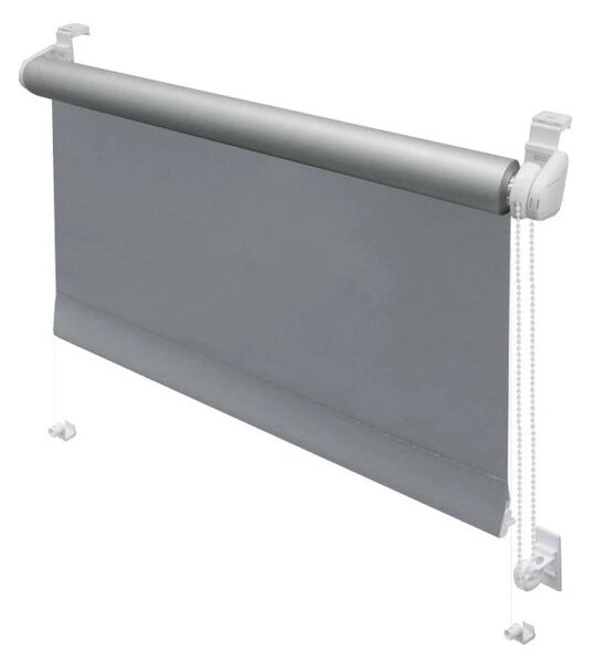 Светлосива ролетна щора 42,5x150 cm Mini Termo – Gardinia