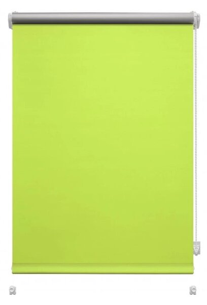 Светлозелена ролетна щора 42,5x150 cm Mini Termo – Gardinia