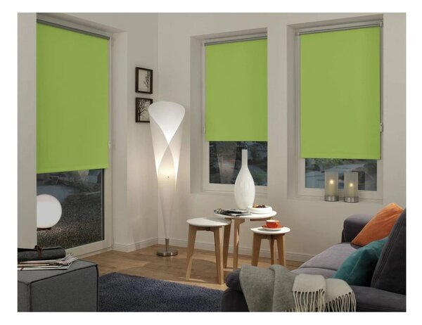 Светлозелена ролетна щора 42,5x150 cm Mini Termo – Gardinia