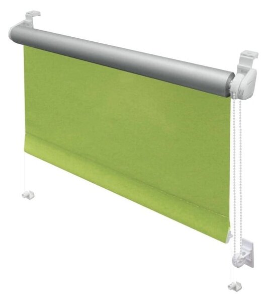 Светлозелена ролетна щора 42,5x150 cm Mini Termo – Gardinia