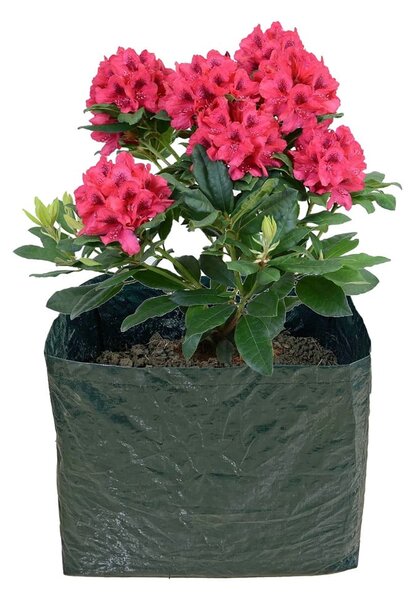Повдигната леха – Garden Pleasure