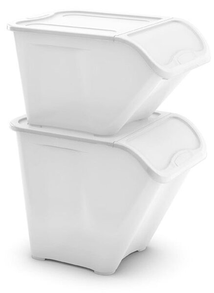 Бяла пластмасова кутия за съхранение с капак 55x39x46 cm All In Box – KIS