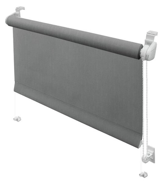 Тъмносива ролетна щора 42,5x150 cm Mini Sonata – Gardinia