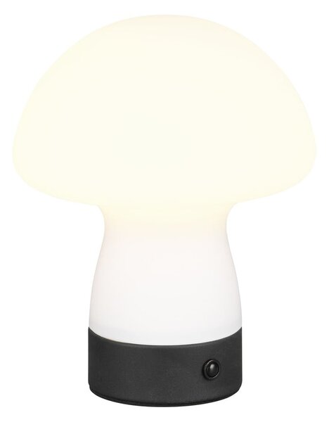 LED настолна лампа в матово бял цвят със стъклен абажур (височина 18 cm) Dooley – Reality