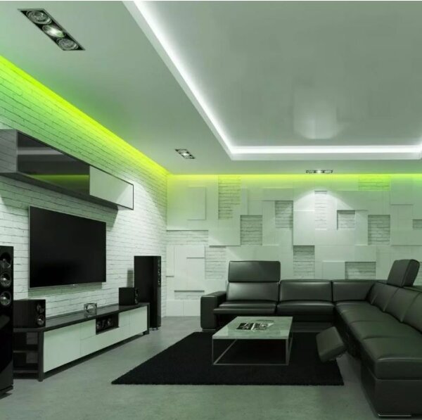 LED RGB Димируема лента 2x5м LED/4,8W/230V + д.у