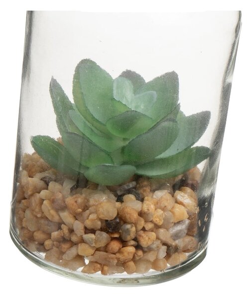 Изкуствени растения в комплект от 4 бр. (височина 12 cm) Cactus – Casa Selección