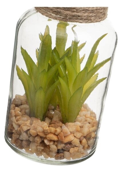 Изкуствени растения в комплект от 4 бр. (височина 12 cm) Cactus – Casa Selección