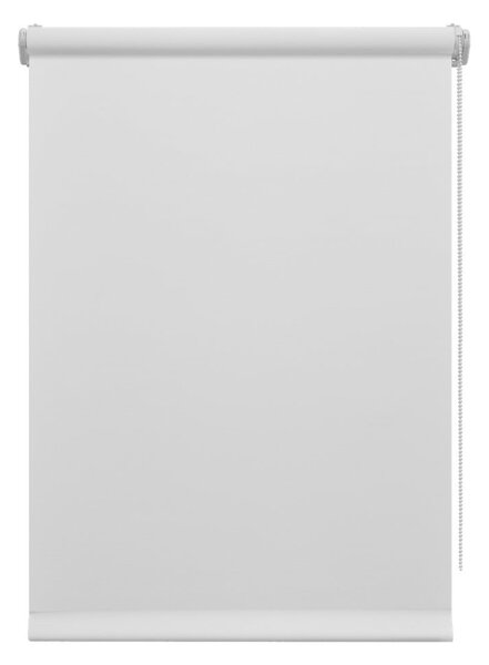 Бяла ролетна щора 42,5x150 cm Mini Relax – Gardinia