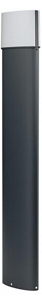 Ledvance - LED Външна лампа ENDURA LED/11,5W/230V IP44