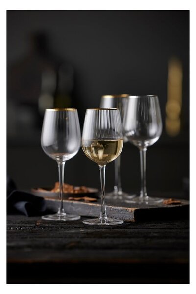 Чаши за вино в комплект от 4 бр. 300 ml Palermo – Lyngby Glas