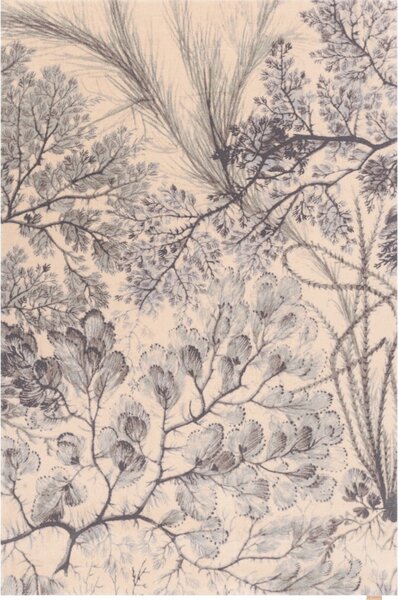 Вълнен килим в бежов и ментов цвят 133x190 cm V&A Calisia Kelp – Agnella