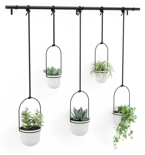 Пластмасови стенни/висящи кашпи в комплект от 5 бр. за билки ø 7,5 cm Triflora – Umbra