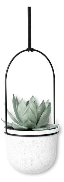 Пластмасови стенни/висящи кашпи в комплект от 5 бр. за билки ø 7,5 cm Triflora – Umbra