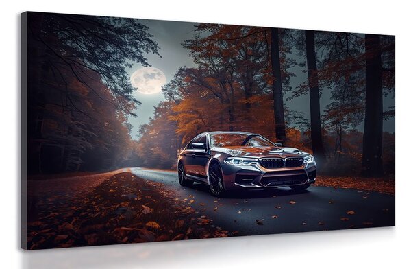 Картина на платно – BMW при пълнолуние