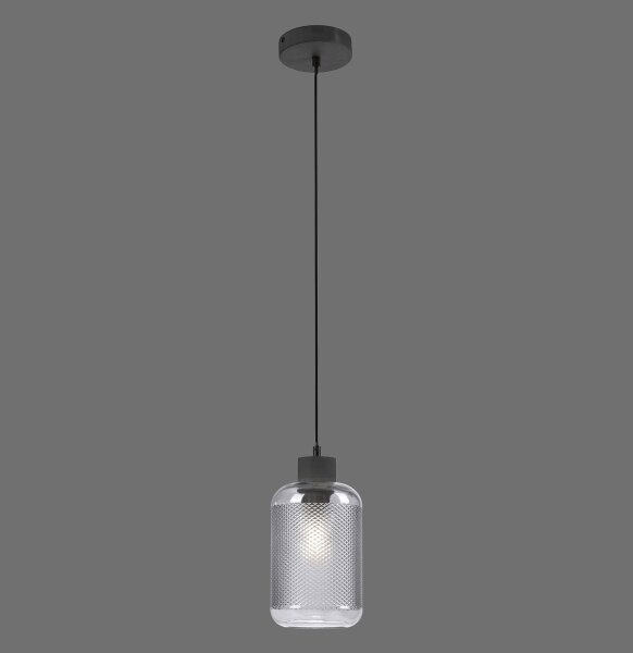Paul Neuhaus 2006-25 - Пендел BOLETUS 1xE27/10W/230V Ø 14 см сив